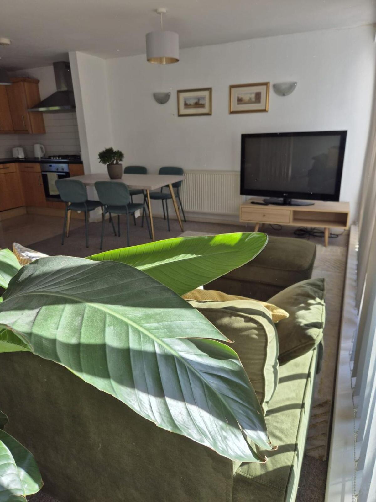 Eco House & Hébergement de vacances *